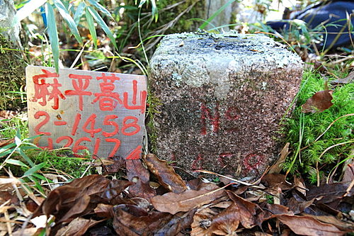 photo_021