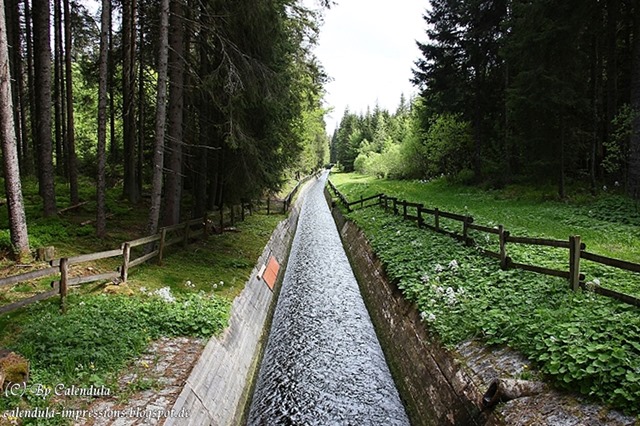 Windgfällweiher Seerundgang