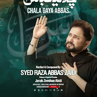 Chala Gaya Abbas Lyrics - Syed Raza Abbas Zaidi 2025-26