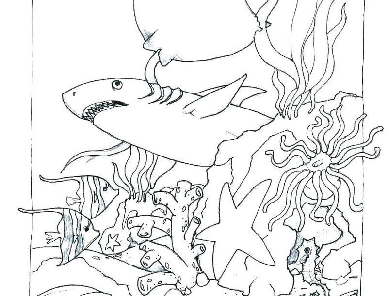 ocean creatures coloring pages