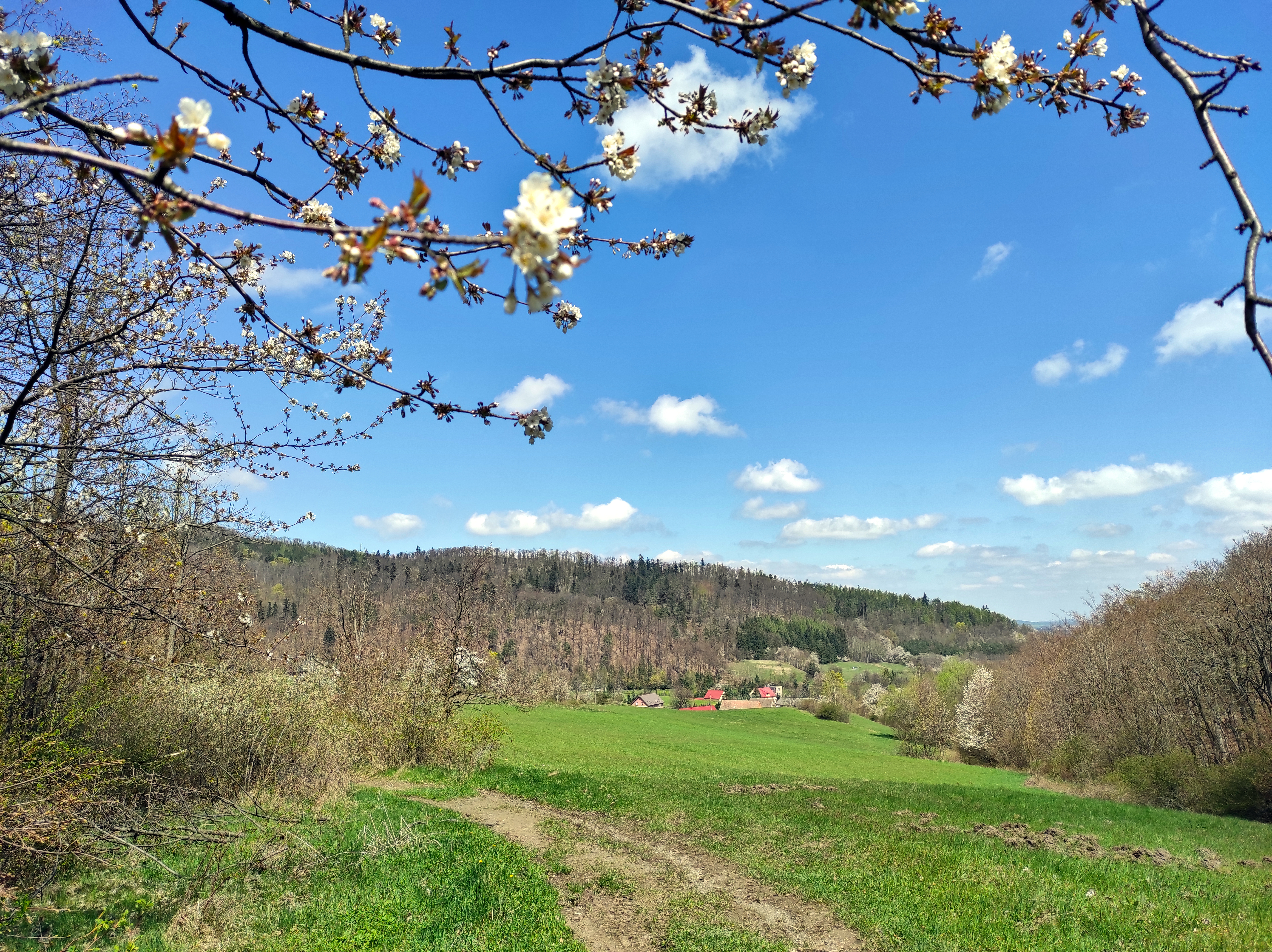 niebieski szlak do Żdanowa góry Bardzkie