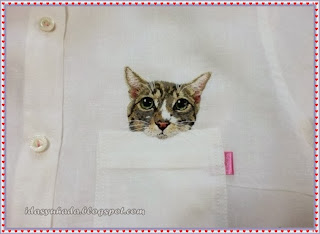 Kucing Dalam Poket