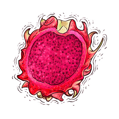 Pencil Sketch and Free Cartoon Images of Dragon Fruit