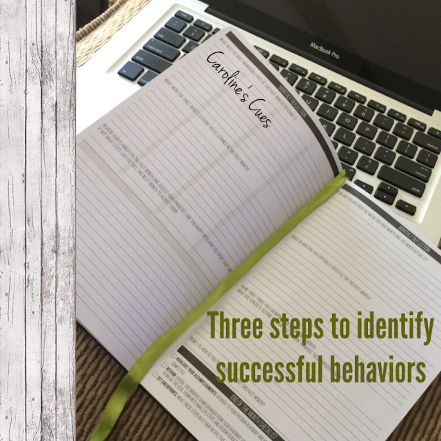 Caroline's Cues | Three steps left going into 11 - how to identify successful behaviors