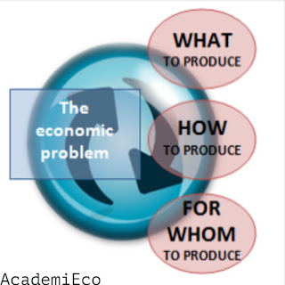 The problems of economics organization