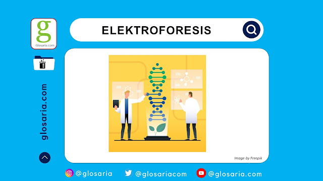 Analisis Elektroforesis: Pengertian, Prinsip Kerja, Jenis dan Aplikasi