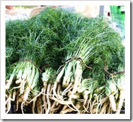 baby fennel migliorelli