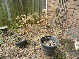 Parkdale Spring Backyard Garden Cleanup Before by Paul Jung Gardening Services a Toronto Gardening Company