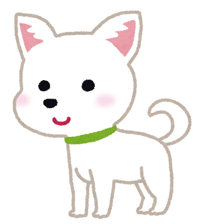 チワワのイラスト 犬 かわいいフリー素材集 いらすとや