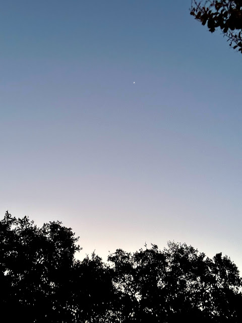 A single dot of white light shines in the gray-blue gradient sky of early morning. The sun hasn’t risen yet, and silhouettes of trees cover the bottom quarter of the image.