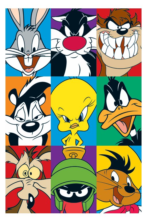 The Looney Tunes Characters 4