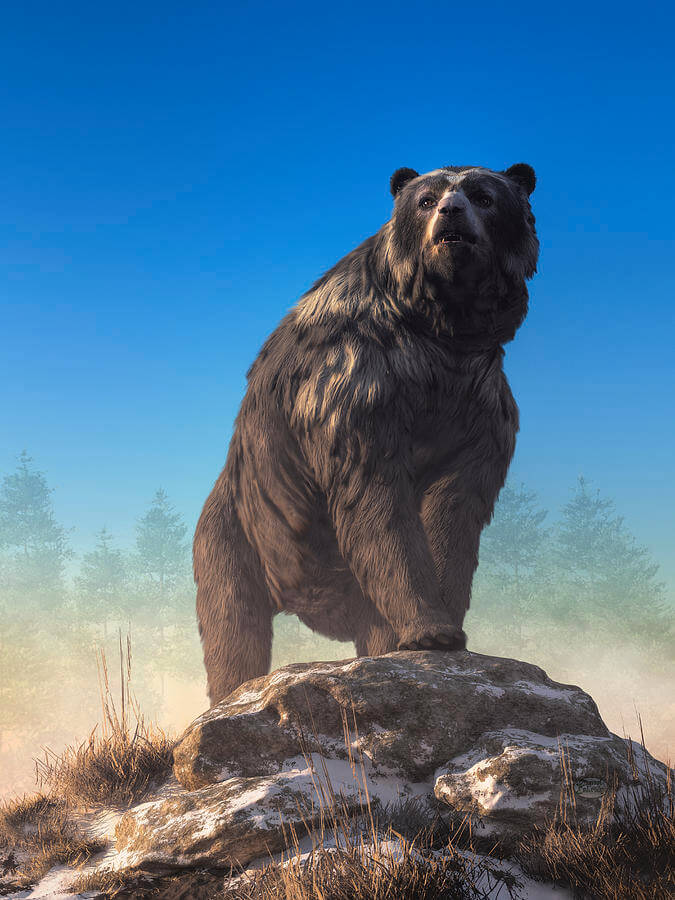 História de um urso': Um urso e os ecos da ditadura chilena contra a Pixar, Cultura