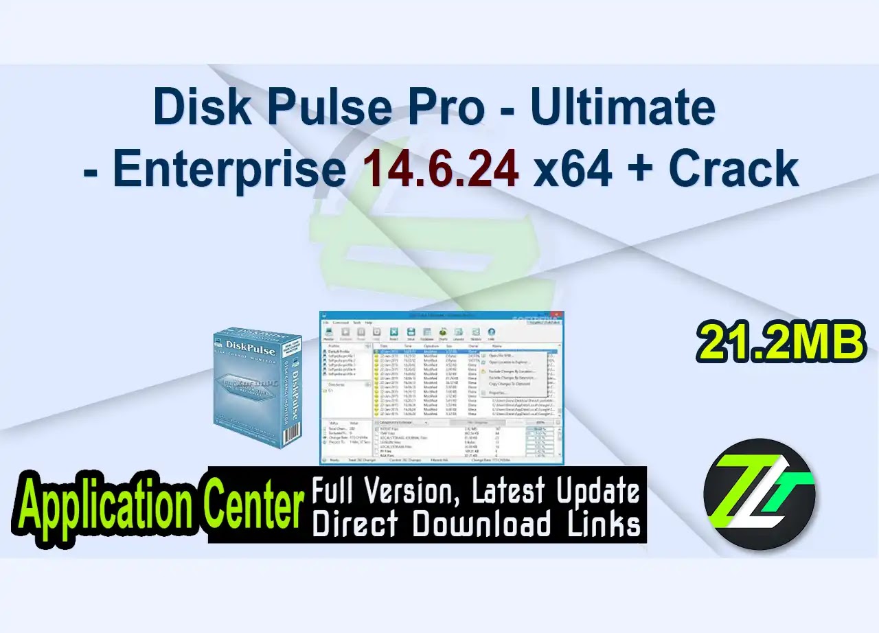 Disk Pulse Pro – Ultimate – Enterprise 14.6.24 x64 + Crack