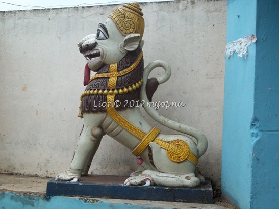 Lion Dog1