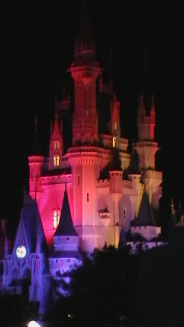 walt disney world castle at night. Topics: Cinderella Castle