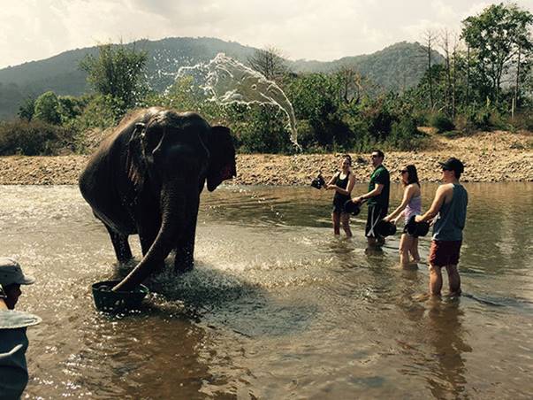 "The water poured over the elephant looks like an elephant"