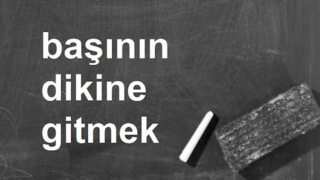 başının dikine gitmek