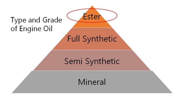 Bahan Ester Oli X-Ten