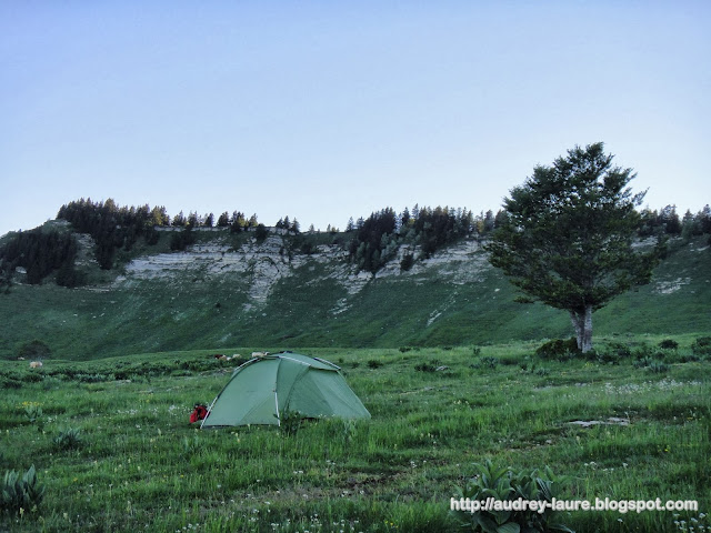 plateau molière bivouac