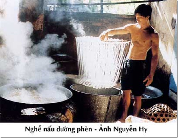 nau_duong_phen