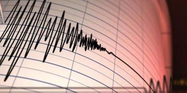 Se registra un terremoto de magnitud 7 y surge la Alerta de tsunami