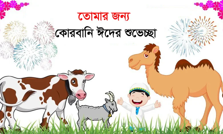 ঈদুল আজহা ২০২২ ছবি | Eid Ul Adha 2022 Picture,Photo