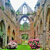 Beautiful Garden and The Castle