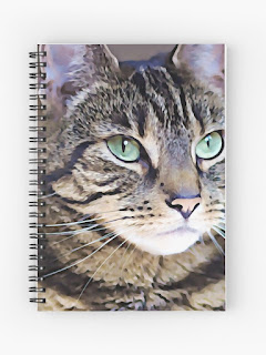 tabby cat art notebook