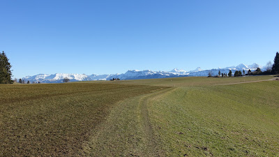 Grasweg mit Blick Richtung Alpen