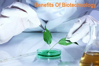 Benefits Of Biotechnology