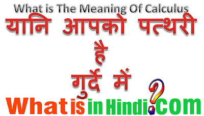 What is the meaning of Calculus in Hindi
