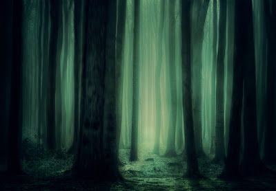 drak tall black trees in thickly settles woods with a misty greenish blue fog