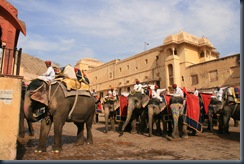 ElephantP2-1