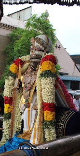 Kodai Utsavam, Tholukiniyaan, Purappadu,Video, Divya Prabhandam,Sri Parthasarathy Perumal, Triplicane,Thiruvallikeni,Utsavam,