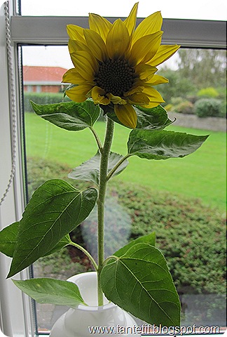 9.-11. september 2010 020