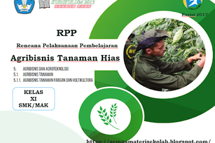 RPP Agribisnis Tanaman Hias Kеlаѕ XI SMK Kurіkulum 2013 Rеvіѕі 2017