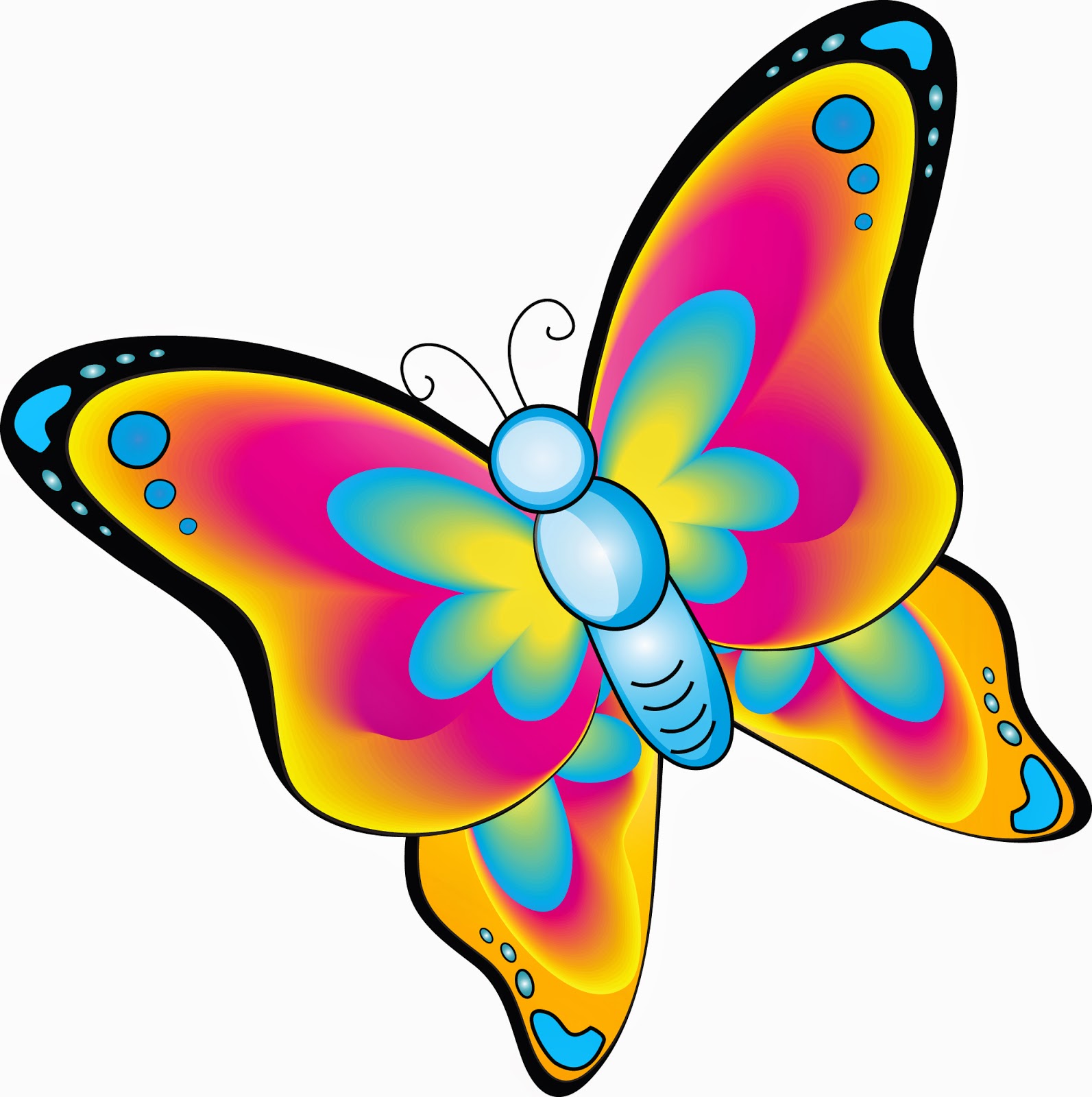  Gambar  Kupu  kupu  yang lucu  TokoFauzia