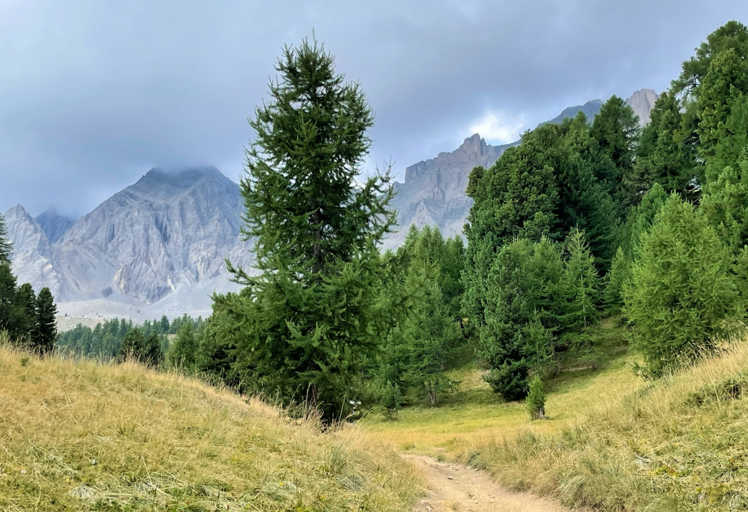 GR5 near Lac Miroir