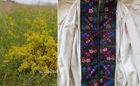 buchet sanziene si ie model broderie tinutul padurenilor, Transilvania, wild flower bouquet