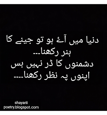 love shayari // best urdu hindi poetry collection