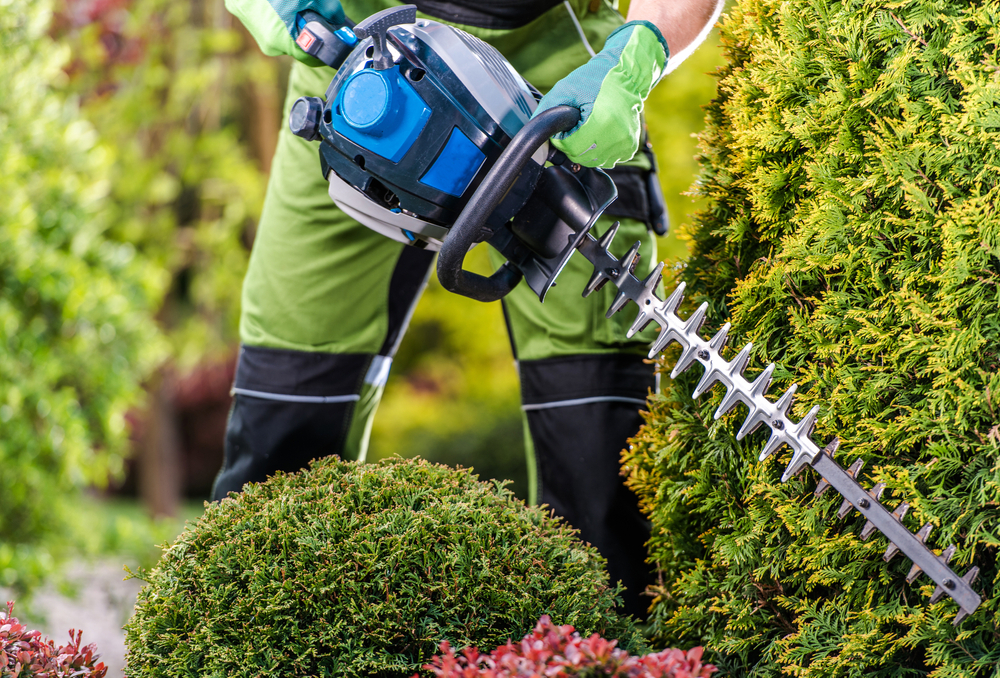 hedge trimmer hobart