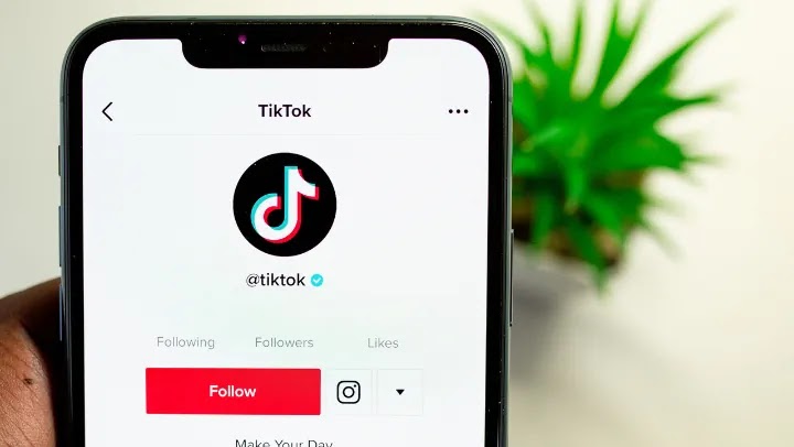 Ganar seguidores en TikTok