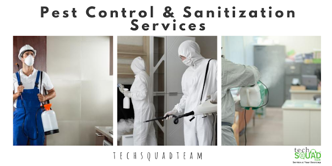 Pest Control & Sanitization Services Bangalore