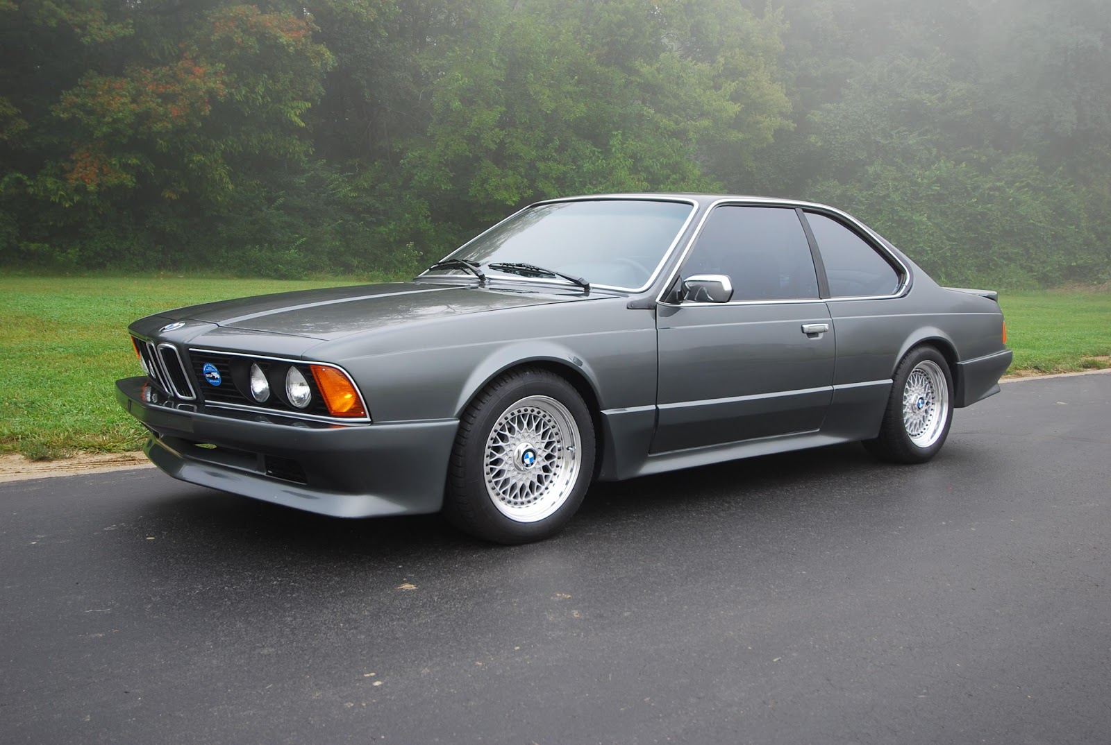 1980 bmw e24 image search results