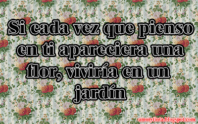 si cada vez que pienso en ti apareciera una flor viviria en un jardin