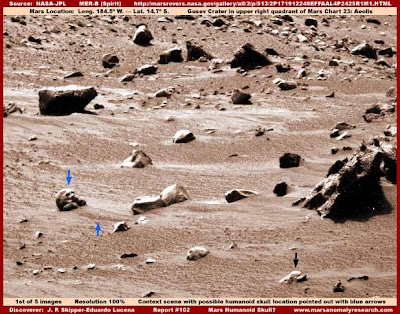 1 102 skull context view Ditemukan Tanda Kehidupan DI Mars