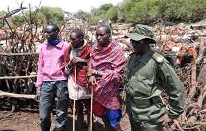 Over 600 cattle impounded for invading Serengeti National Park in Tanzania