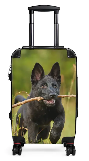 Travel Suitcase With Black German Shepherd Running on the Grass Holding a Stick in the Mouth