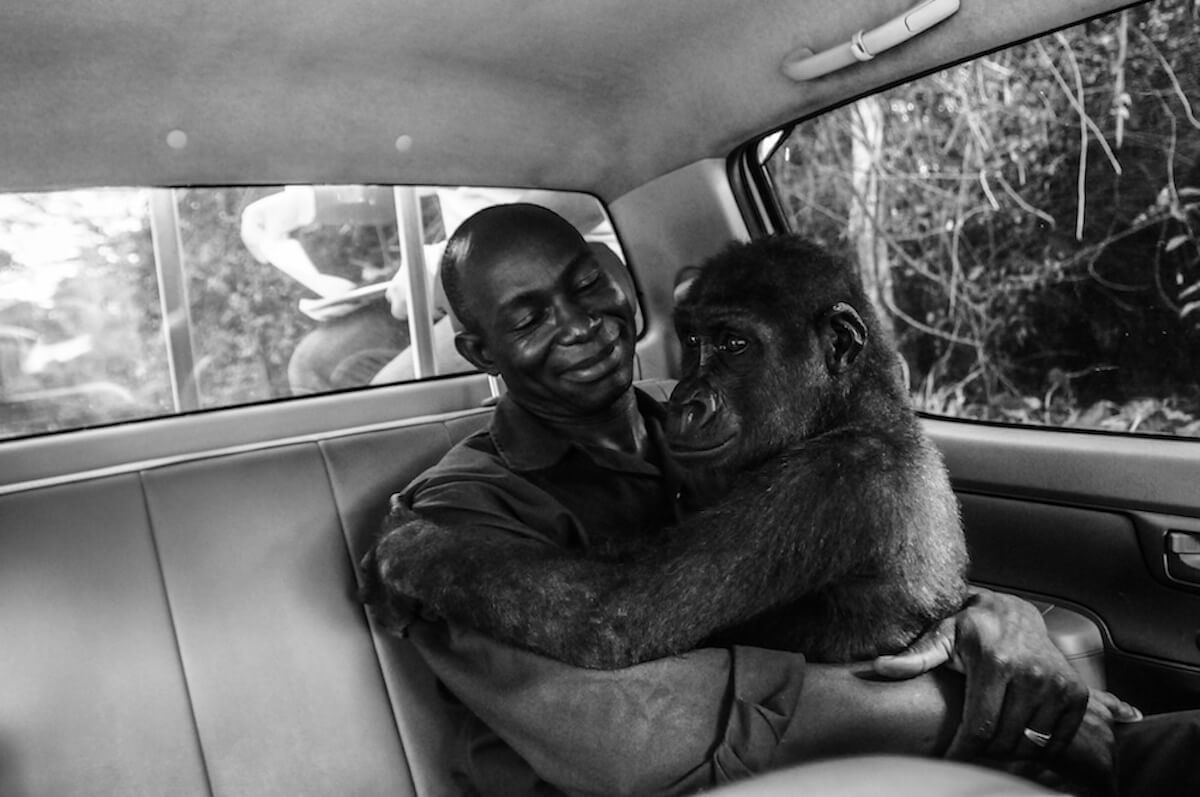 The Best Pictures Of 2018 From All Over The World