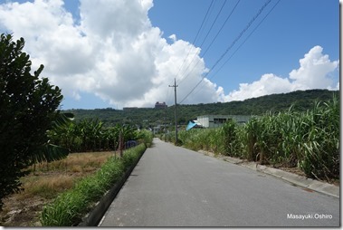 12-DSC07691